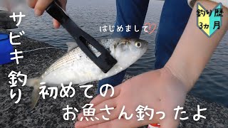 【初心者釣り女子】サビキ釣りで新しいお魚さんと遭遇！？まさか撮影してない時に来るなんて・・・#26