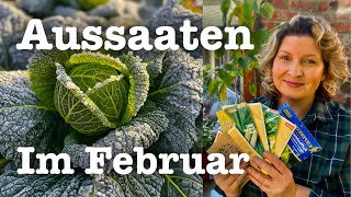 🌱👩‍🌾  Aussaaten im Februar 🌿🌞  in Kaltaussaat und im Warmen 🍠🌿 Süßkartoffeln vorziehen