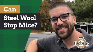 Can steel wool stop mice? Is Xcluder better? | Ask Tim the Bug Man