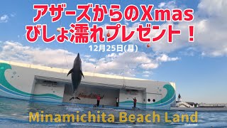 【イルカ】アザーズからのXmasびしょ濡れプレゼント！#南知多ビーチランド