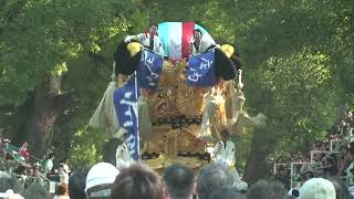 #新居浜太鼓祭り2008　ザ、一宮神社　見事な、ほーり投げ！金子新田太鼓台　庄内太鼓台　　　　　　久保田太鼓台　平成２０年