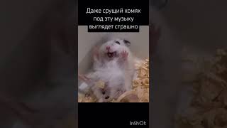 #memes #мем #like ПОДПИШИСЬ ПОЖАЛУЙСТА ☺️