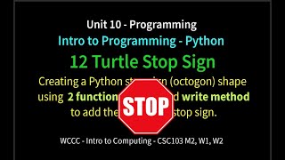 12 Turtle Stop Sign (Python)