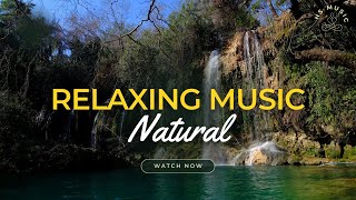 Calm Music for Peace and Relaxation Meditation Music, Mind Relaxing Music, Study
