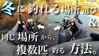 【冬のバス釣り】冬に釣れる場所の選び方\u0026釣り方とは⁉︎ この冬に釣れる確率がハネ上がる！　シマノ　ダイワ　スピニング　レイドジャパン　RAIDJAPAN バイブレーション　ミドスト　動き　使い方　野池