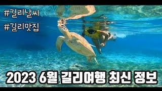 2023년 6월 길리 최신 정보 가득[길리2]거북이와 스노클링 꿀잼