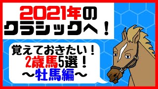 覚えておきたい！来年のクラシックで注目したい2歳馬5選！牡馬編【バーチャルサラブレッド・リュウタロウ/競馬Vtuber】