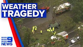 Driver killed in first wild weather fatality | 9 News Australia