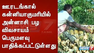 ஊரடங்கால் கன்னியாகுமரியில் அன்னாசி பழ விவசாயம் பெருமளவு பாதிக்கப்பட்டுள்ளது