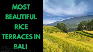 Top 10 Most Beautiful Rice Terraces in Bali #BaliRiceTerraces