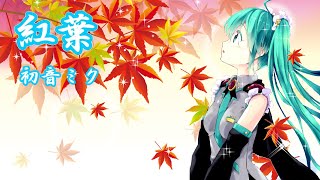 紅葉（もみじ）【初音ミク　MIku Hatune】VOCALOIDカバー