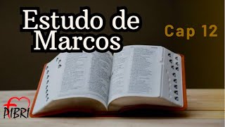 Estudo do livro de Marcos Cap 12