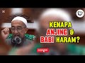 Kenapa anjing dan babi haram? #ustazazharidrus #uai #dosa #babi #anjing #haram  #ceramahlucu