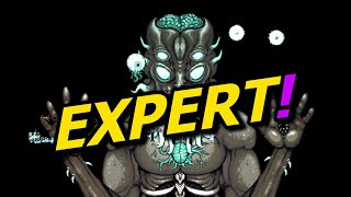 How to beat EXPERT Moon Lord - Terraria 1.4.3.6