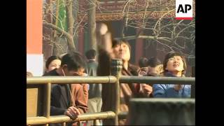 Temple visits on the first day of the Year of the Pig