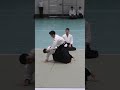 aikido masterclass ueshiba s legendary techniques