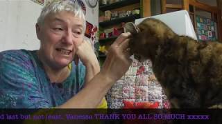 What is this Patreon Malarkey all about anyway? And a lot of Norma
