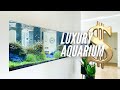 400 Liters Aquascape Tutorial after 1,095 Days