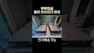 씰리침대 매트리스 침실인테리어 트윈침대 완성 #씰리침대 #씰리싼곳 #씰리성지 #트윈침대 #침실인테리어 #shorts