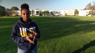 UC San Diego Transfer Year Experience