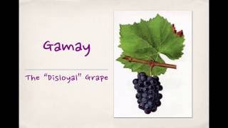 Winecast: Gamay