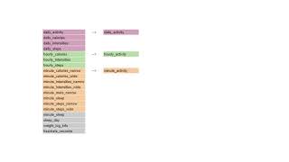 Target audience identification - Analysis process PART 1 | Bellabeat Case Study