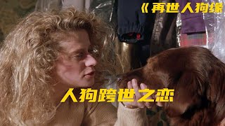 外国人误闯中国奈何桥，结果没喝孟婆汤，转世成狗拥有前世记忆