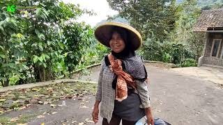BANGBAYANG‼️ Dusun Terpencil Pinggir Hutan Yang Super Indah || Pesona Kampung Sunda Jawa Barat