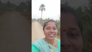 గుడ్ మార్నింగ్ అందరికి #farmer #agriculture #youtubeshorts #shorts