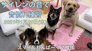 何の音！？お友達と音慣れ練習していきましょう！！