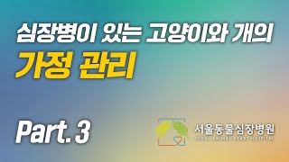 심장병이 있는 고양이와 개의 가정 관리 방법 Part 3