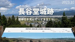 長谷堂城跡を登る！