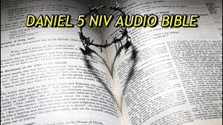 DANIEL 5 NIV AUDIO BIBLE(with text)