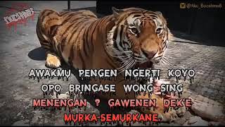 macan ngamuk