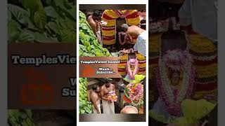 ulsavam /#navratri /#pooja /#panachikkad /#devitemple /#shorts  /#subscribe /#TemplesViewsChannel1