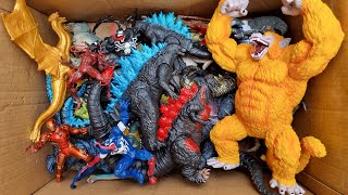 Hunting found Godzilla, Oozaru, Dragon, Kingkong Monster