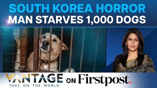 Peak Inhumanity: 1,000 Dogs Starved to Death by Man in South Korea | Vantage with Palki Sharma