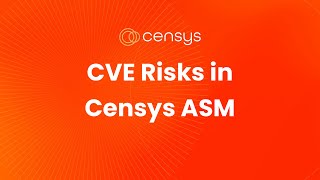 CVE Risks in Censys ASM