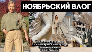 ВЛОГ: Только этого не хватало! Первые покупки к Новому году, Новинки для дома, новый пылесос