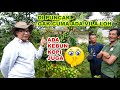 KEBUN KOPI ADA DI PUNCAK BOGOR