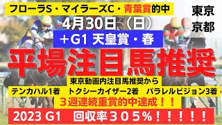 【平場予想】2023 4月30日 （日）　2場注目馬推奨＋G1 天皇賞・春　重賞回収率153%　G1回収率305％