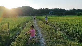 春花秋月，夏风冬雪，农村四季好时节