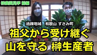 【榊農園見学 前編】祖父から受け継ぐ山を守る 榊農家前田さん 和歌山県 すさみ町 無農薬山採り榊 神棚