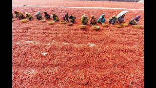 অ্যানা খিদে ল্যাগছে,খাবার দিবেন? - মনোয়ার মাহমুদ জুয়েল