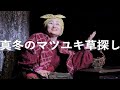 オペラ『森は生きている』島根県出雲市公演 2024 12 03 こんにゃく座