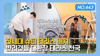 헉~ 세대당 테라스가 2개? 집에서 아이들 그리고 반려견과 캠핑을 즐길 수 있는 경기도 광주 목현동 신축빌라ㅣ매물번호 443번 [경기도광주테라스빌라][경기도광주복층빌라]