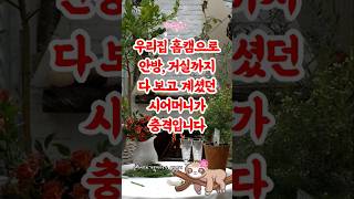 홈캠 cctv 감시하던 시어머니, 안방까지 본 이유? #충격실화 #실화사연