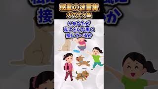 😢【2ch感動スレ】感動の迷言集～犬の十ヶ条～