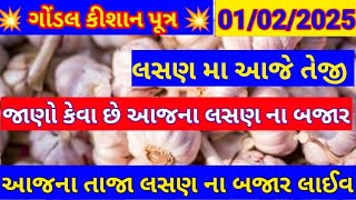 01/02/2025!આજના લસણ ના ભાવ! લસણ ના ભાવ ગોંડલ! ગોંડલ માર્કેટ યાર્ડ લસણ ના ભાવ! Gondal market yard