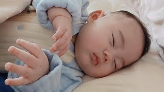 寶寶睡覺又定格了，奇怪姿勢😂【3個月大】3 Months Old